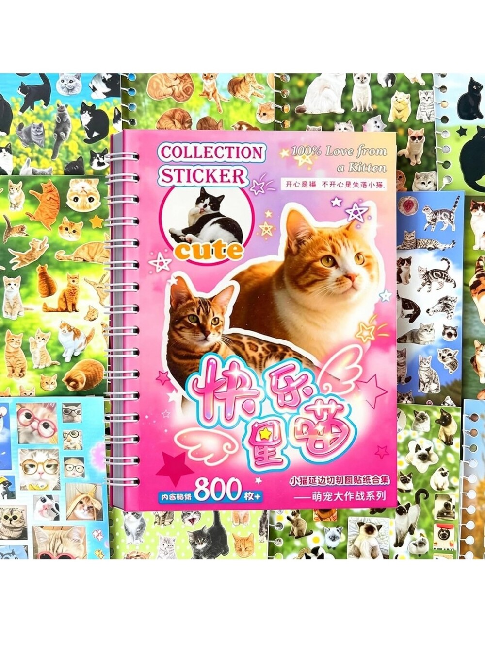 Cute Kitten Collection Sticker Book - Pink